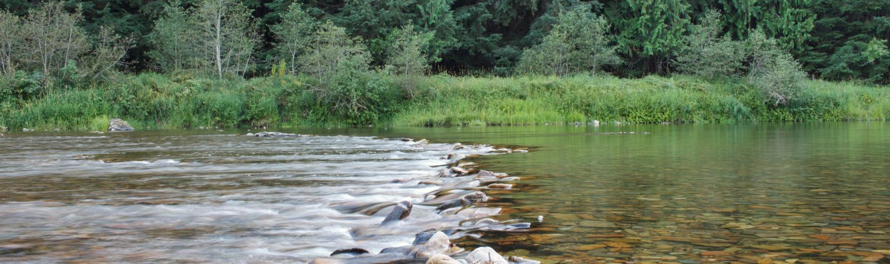 image of Fish Haven