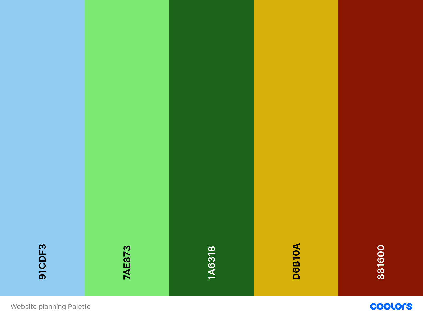Color Palette